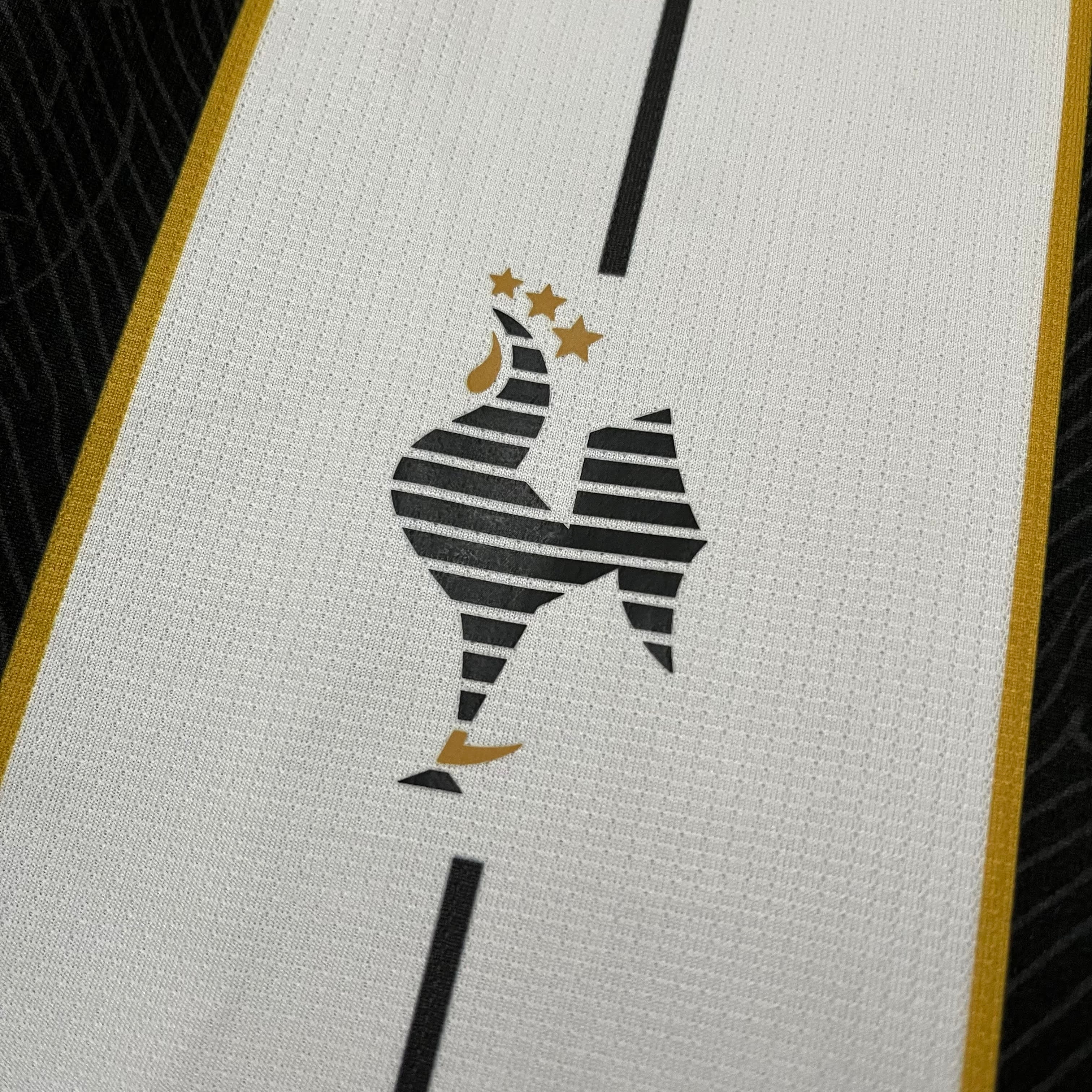 Camisa Atlético Mineiro - Manto da Massa V (2025)