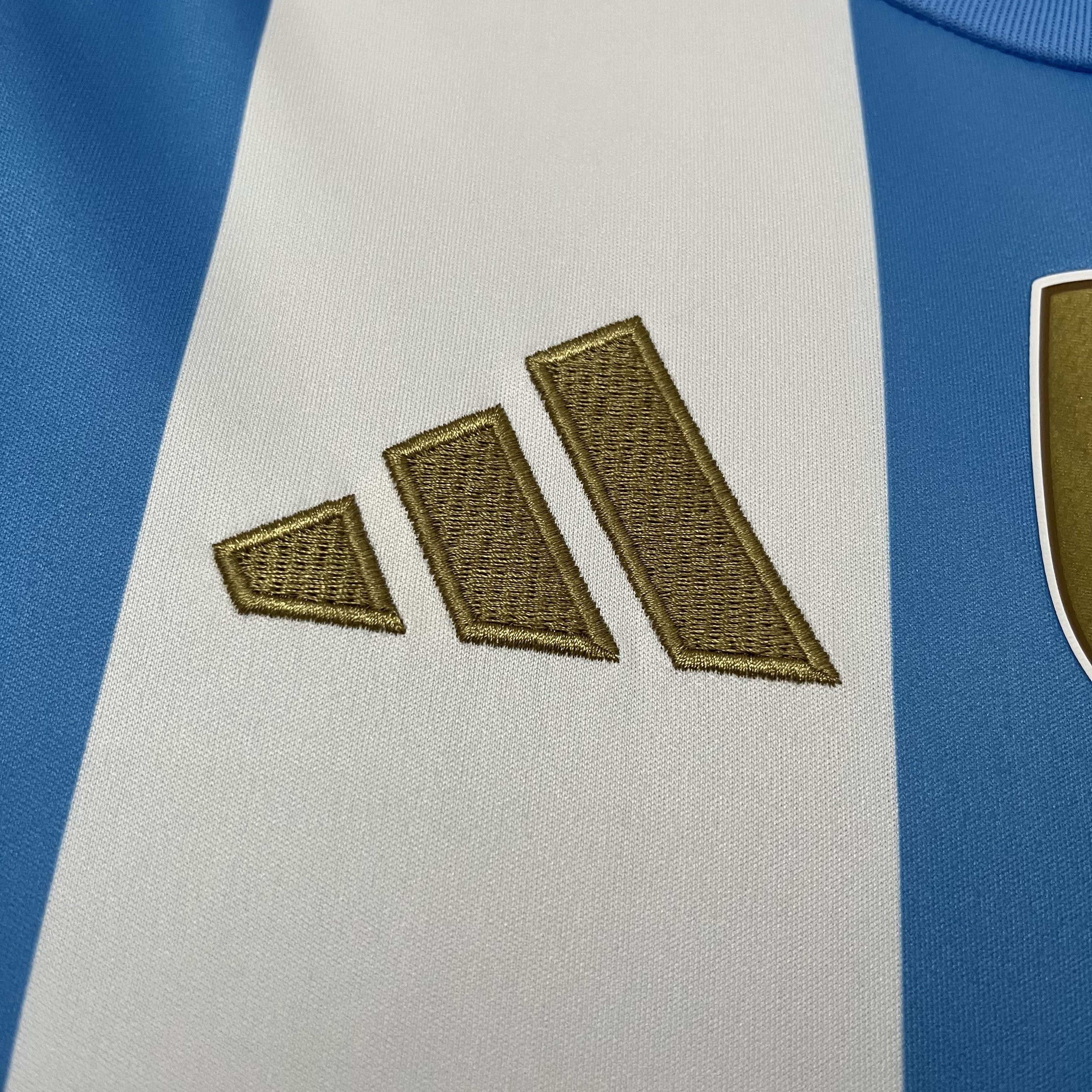 Camisa Argentina 2024/25 Torcedor - Casa