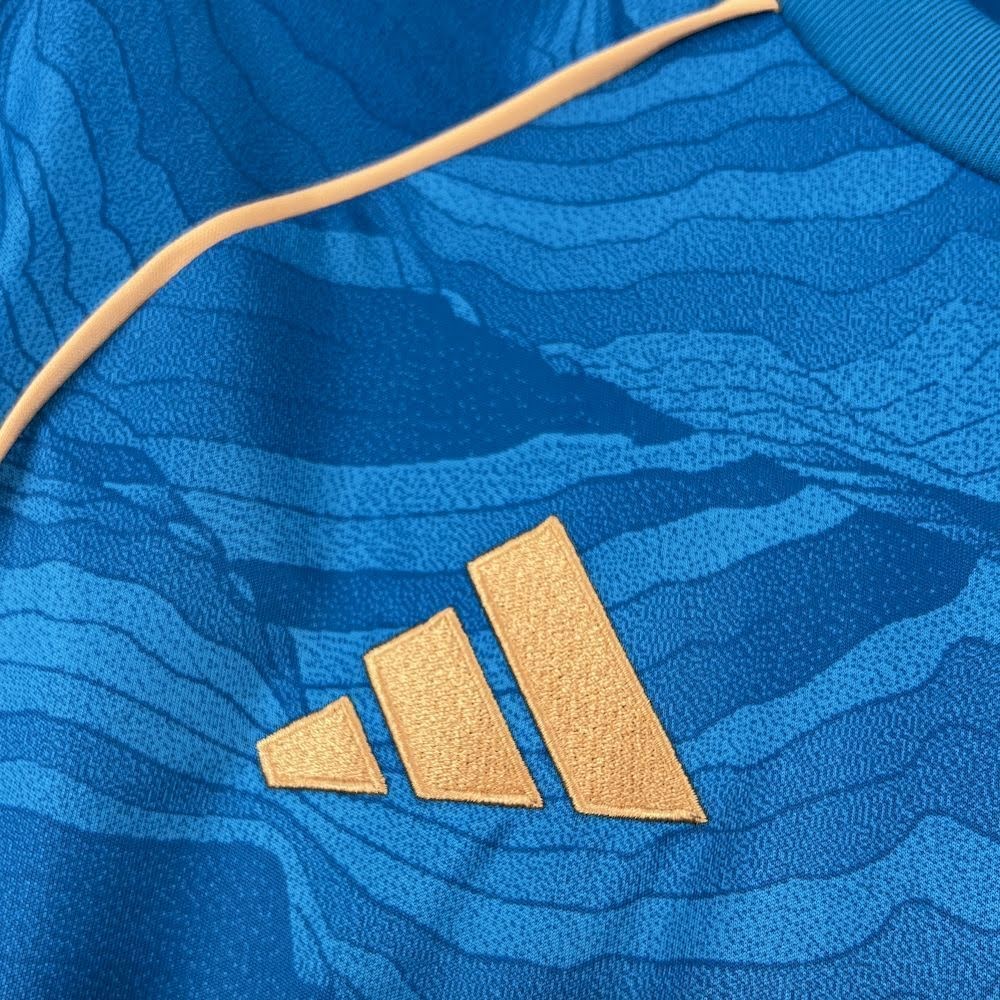 Camisa Cruzeiro 2025/26 Torcedor - Alternativa