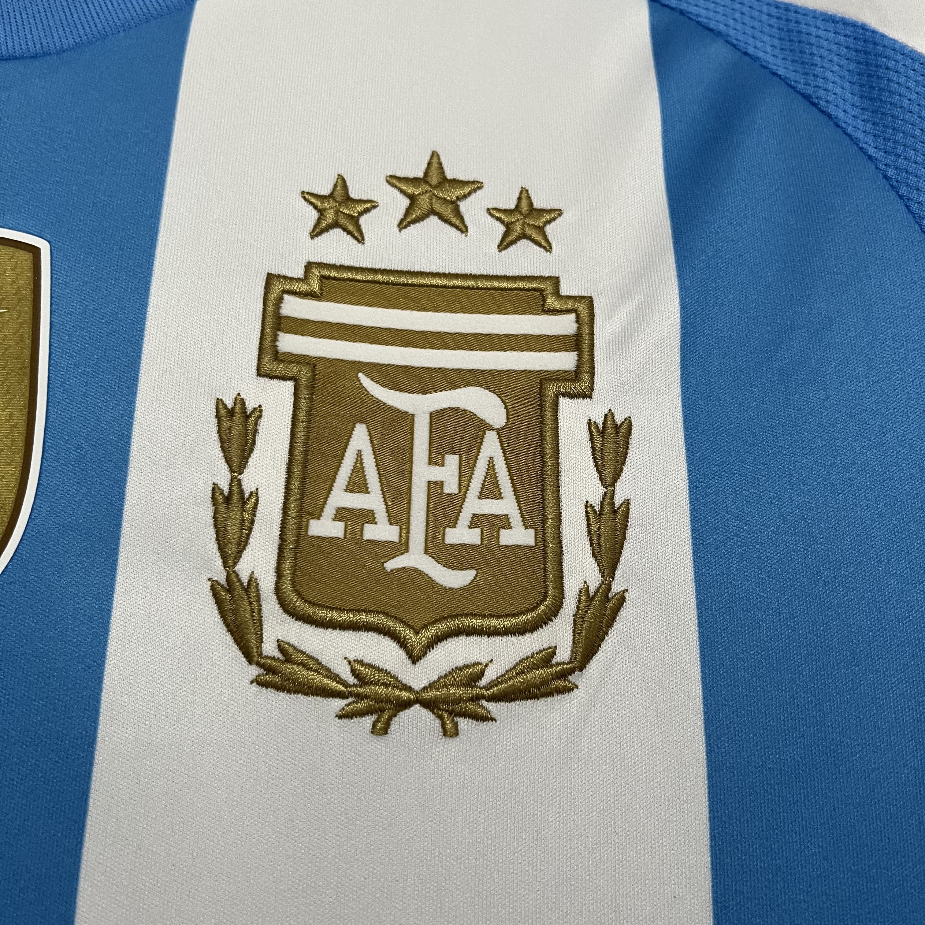 Camisa Argentina 2024/25 Torcedor - Casa