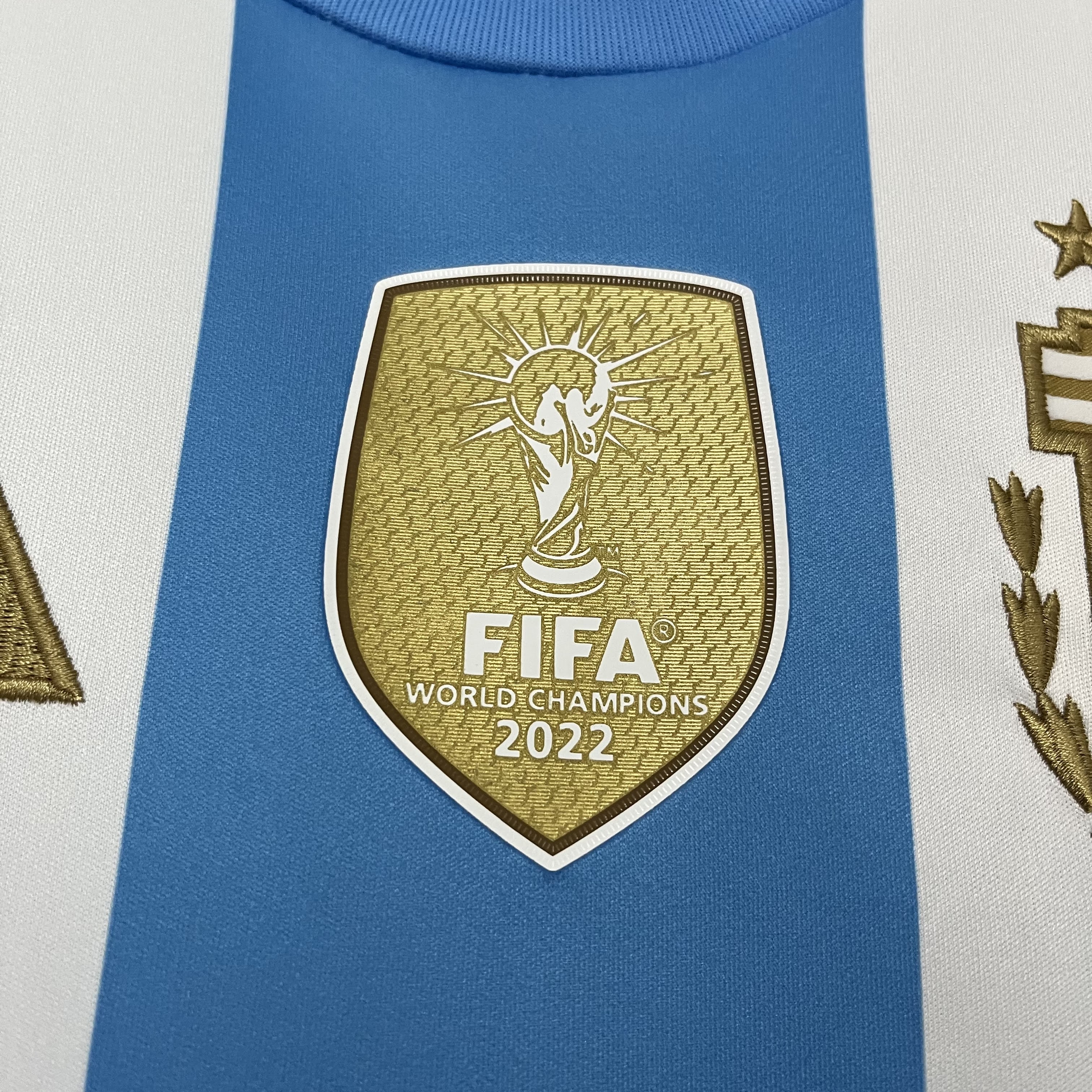 Camisa Argentina 2024/25 Torcedor - Casa