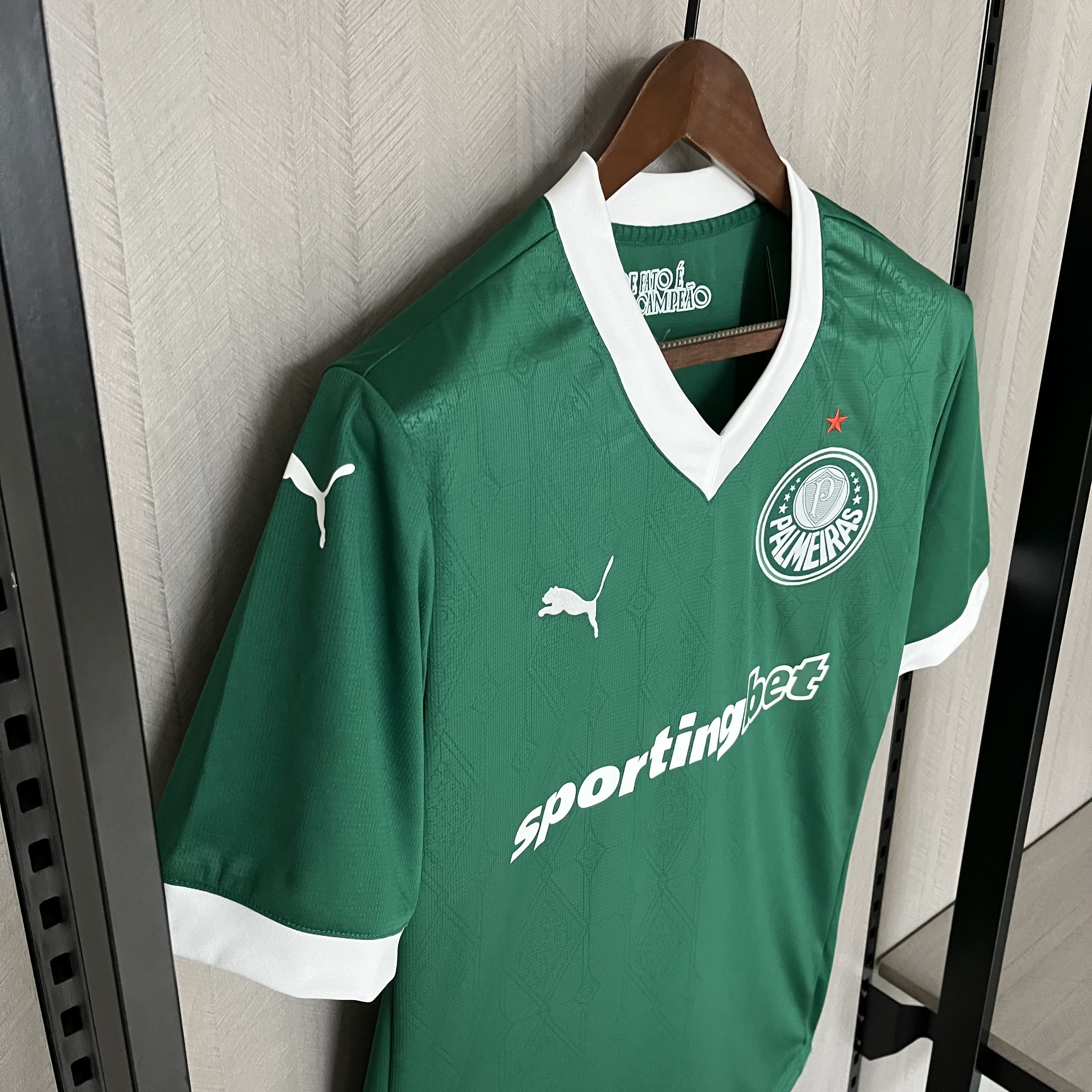 Camisa Palmeiras I 2025/26 Torcedor - CASA