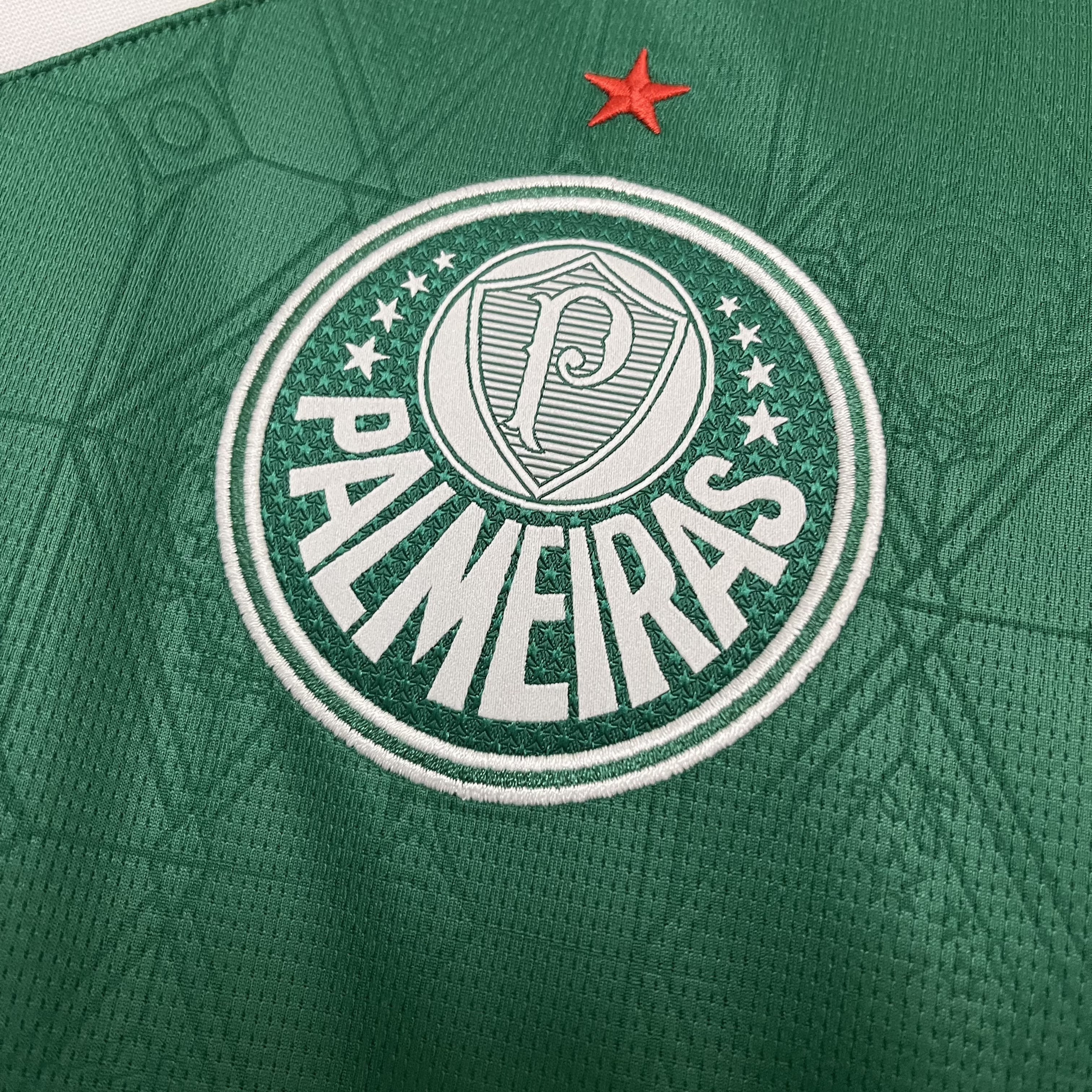 Camisa Palmeiras I 2025/26 Torcedor - CASA