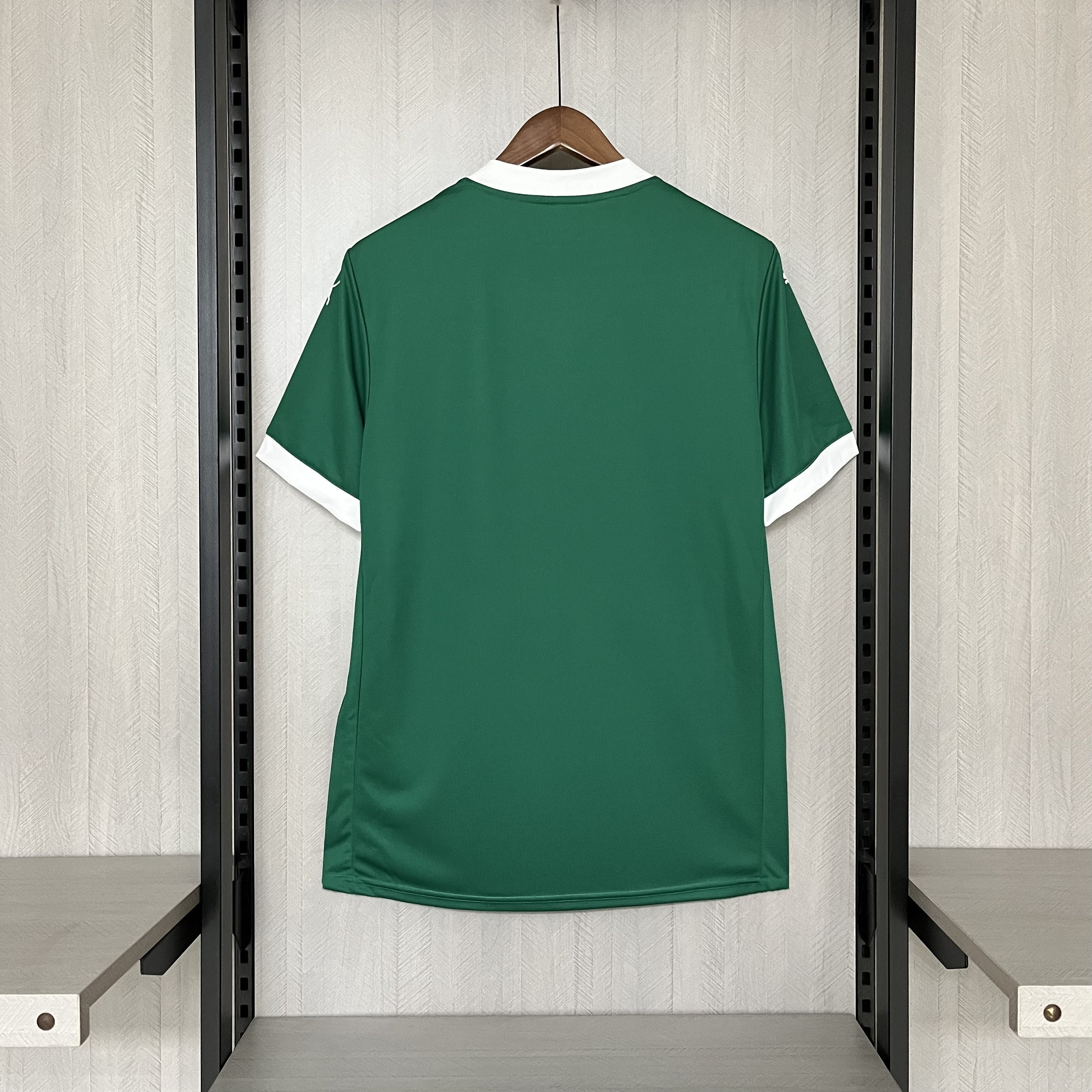 Camisa Palmeiras I 2025/26 Torcedor - CASA