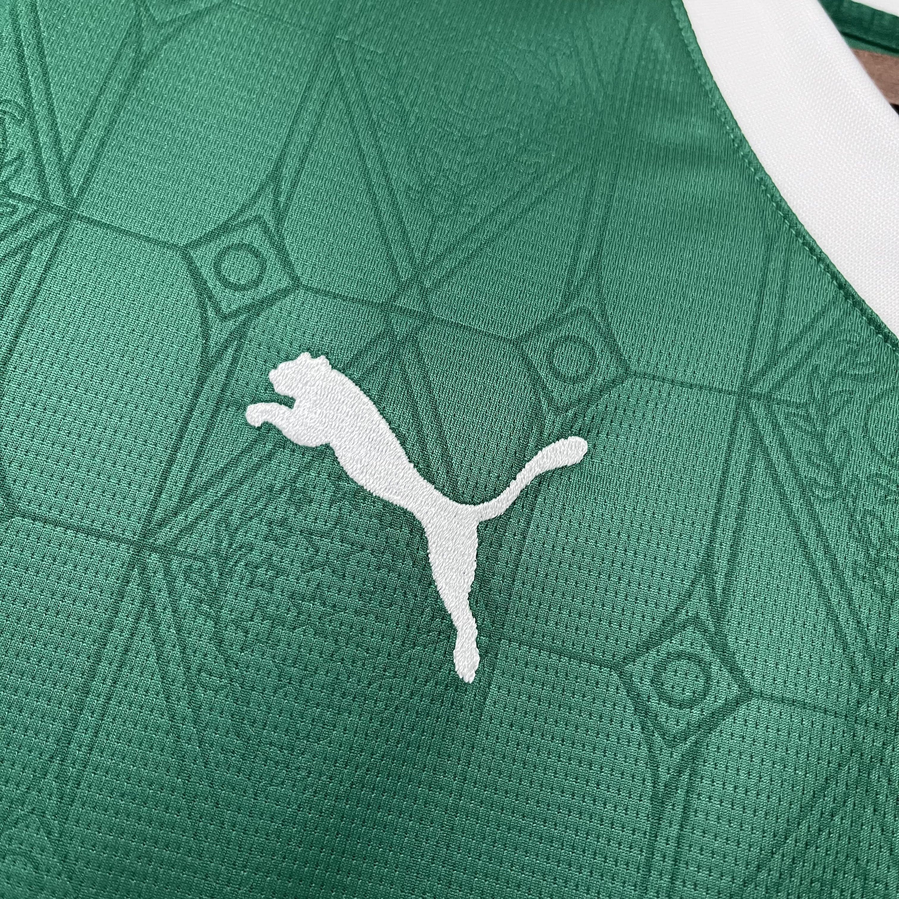 Camisa Palmeiras I 2025/26 Torcedor - CASA